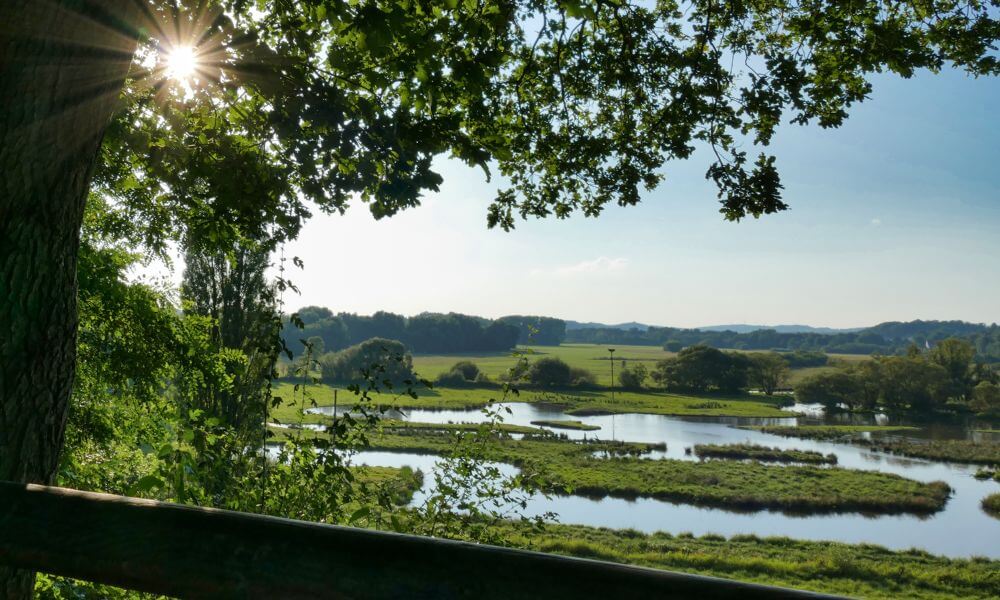 Teich mit Sonnenstrahlen