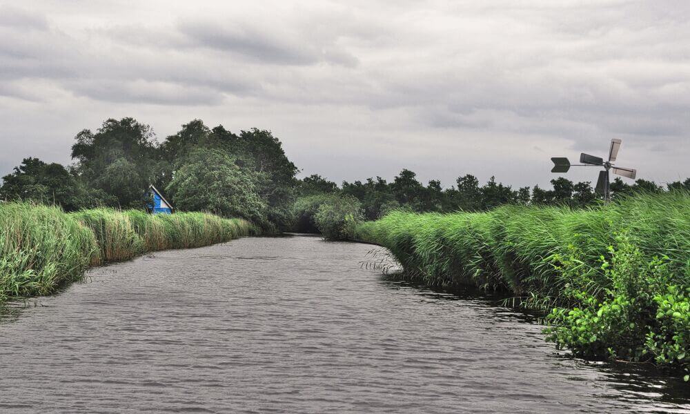 Kanal mit Schilf an den Ufern