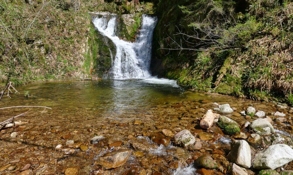 Wasserfall mit grünem Teich und braunen Steinen