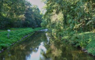 Die Erftauen: Fluss mit Bäumen am Ufer