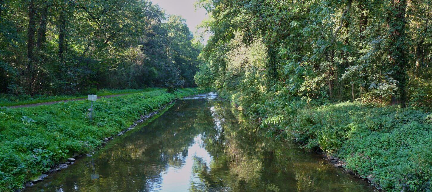 Von der Erftquelle bis zum Rhein