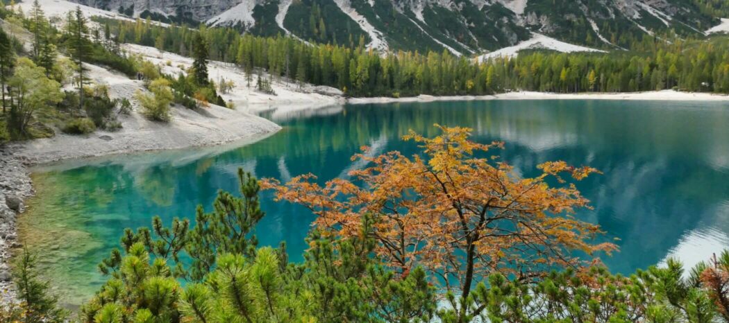 Pragser Wildsee: Türkisfarbener See mit Herbstbäumen am Berg