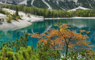 Pragser Wildsee: Türkisfarbener See mit Herbstbäumen am Berg