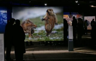 Bilder von Ausstellung "Das zeberechliche Paradies" im Gasometer Oberhausen. Zu sehen: Murmeltier mit Fuchs