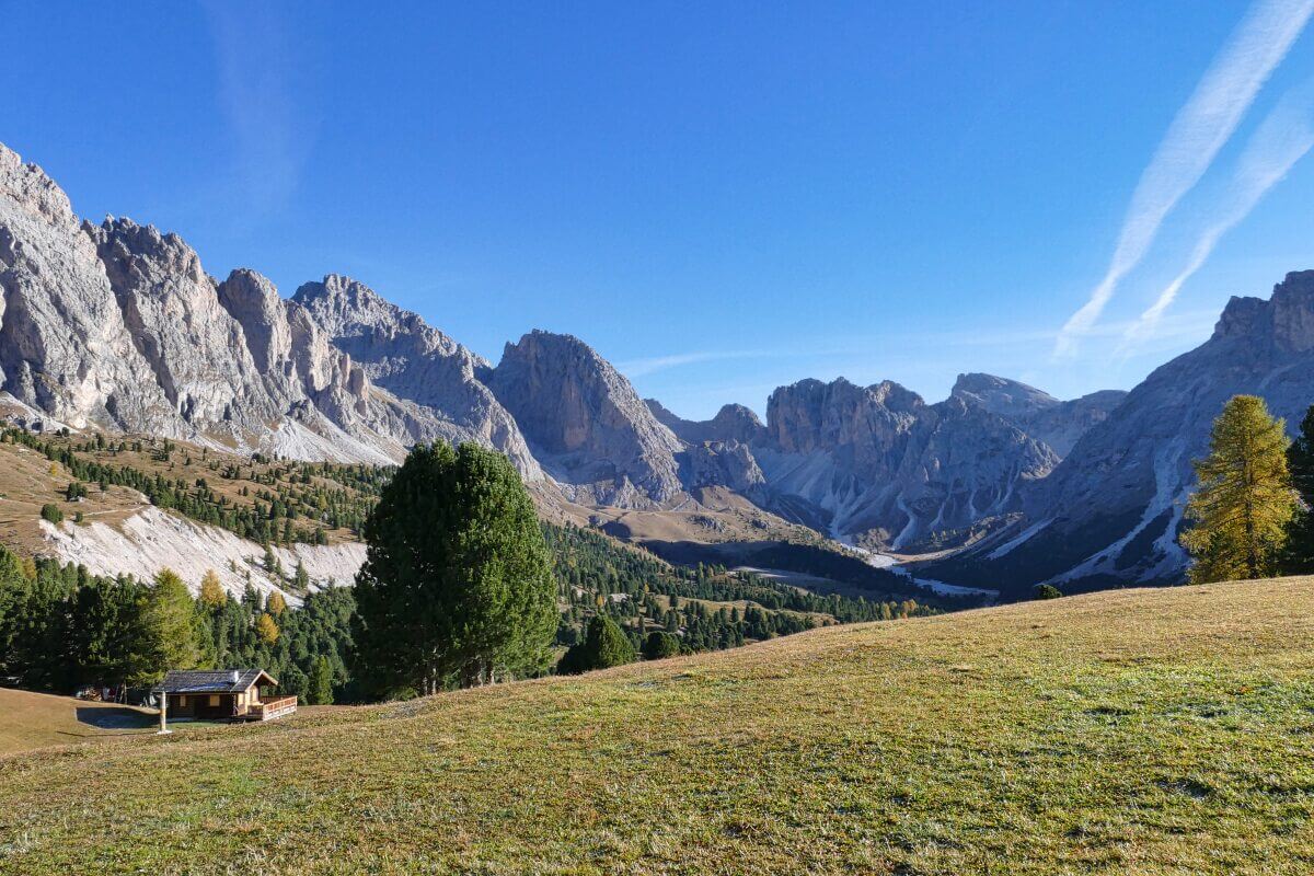 Blick über Wiese mit Bergen und Hütte