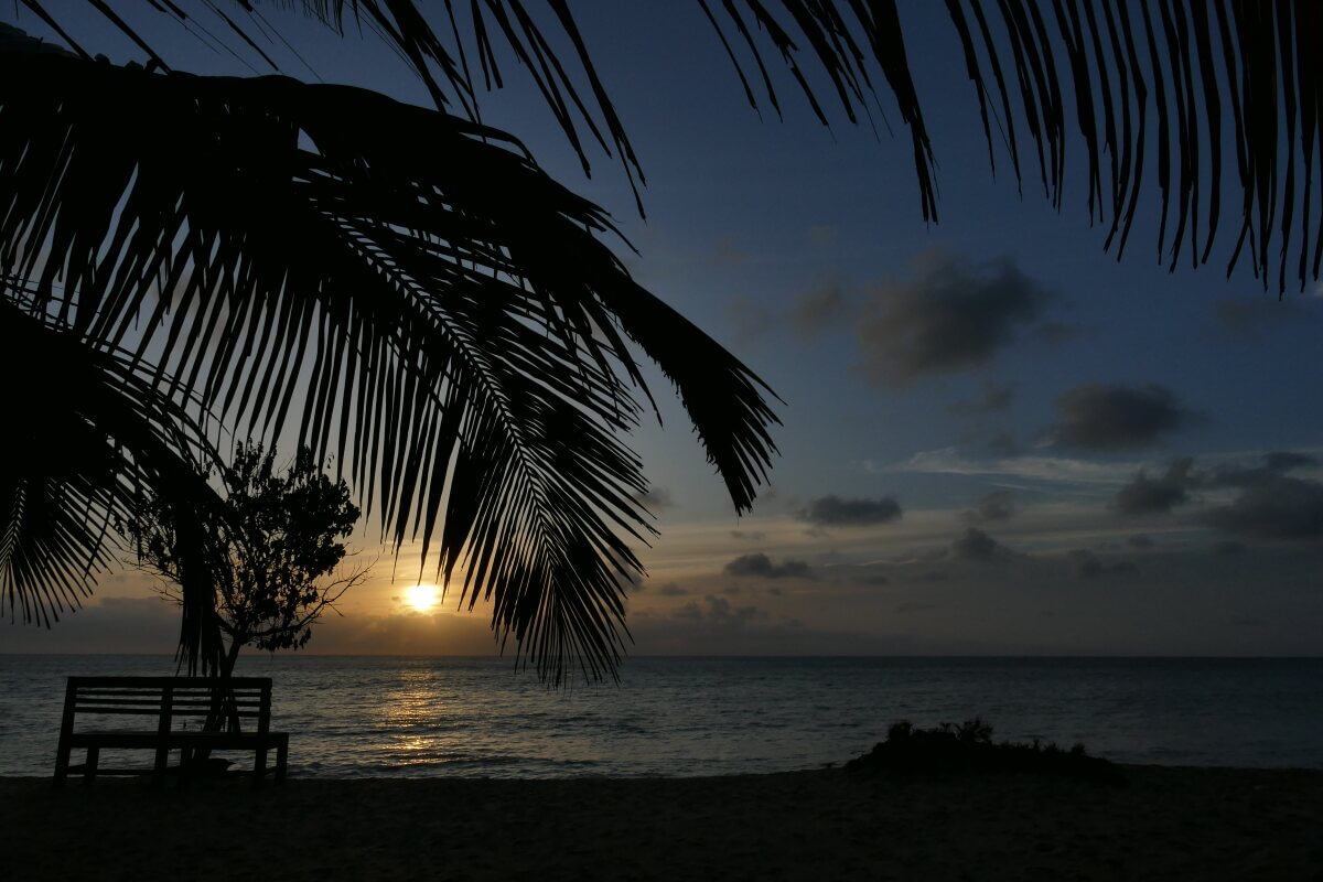 Sonnenuntergang mit Palmen