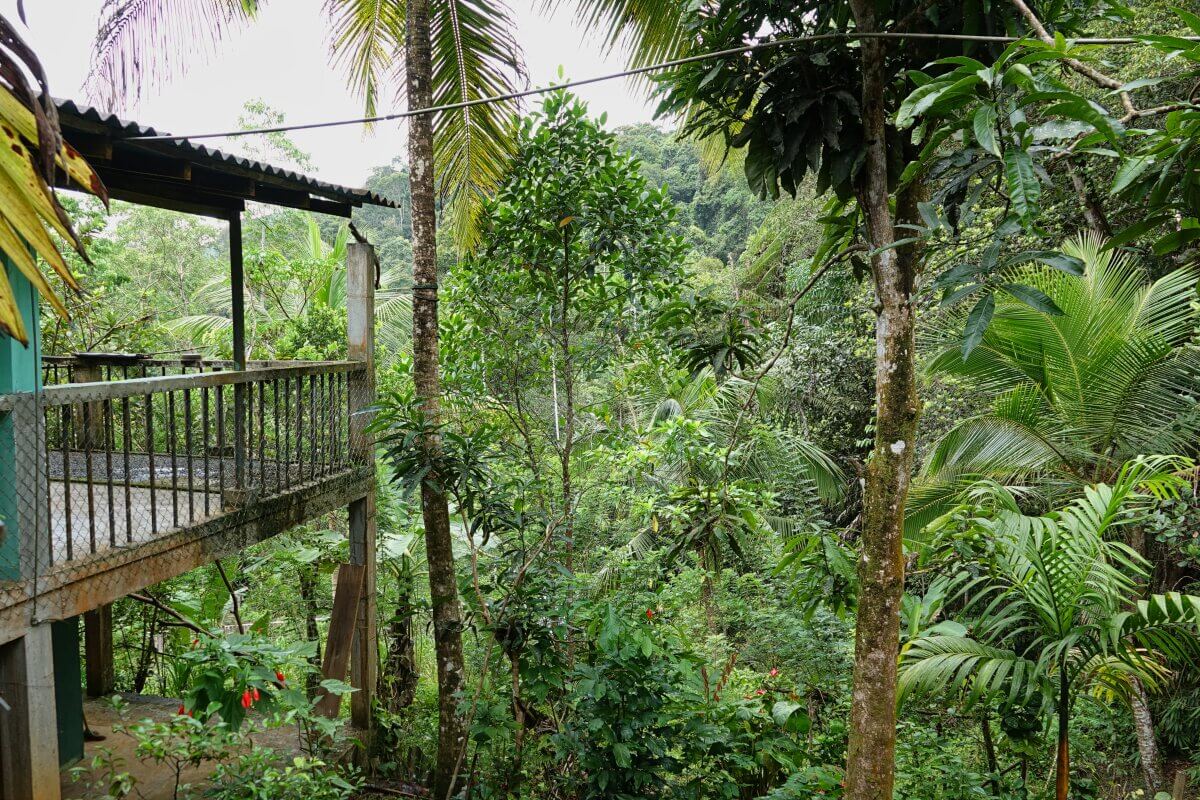 Haus im Sinharaja Regenwald