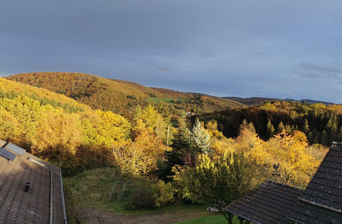 Ausblick über Berg mit herbstlichem Laub