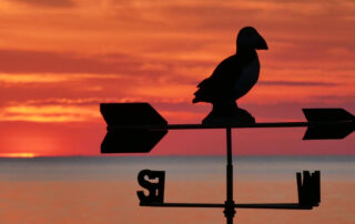Sonnenaufgang am Meer mit Papageitaucher als Wetterhahn