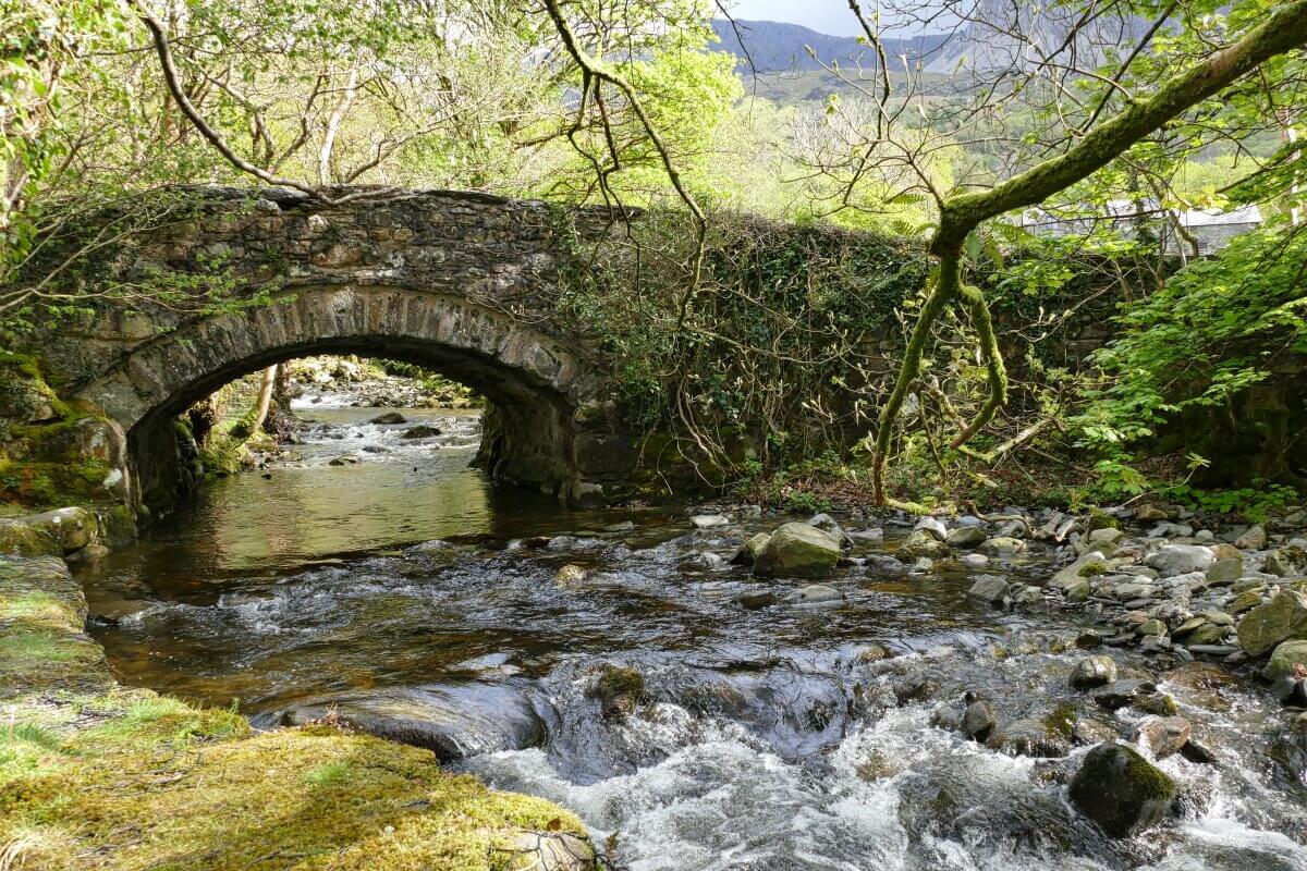 Eine steinerne Bogenbrücke überquert einen flachen, felsigen Bach, der von üppigen grünen Bäumen und Vegetation umgeben ist.
