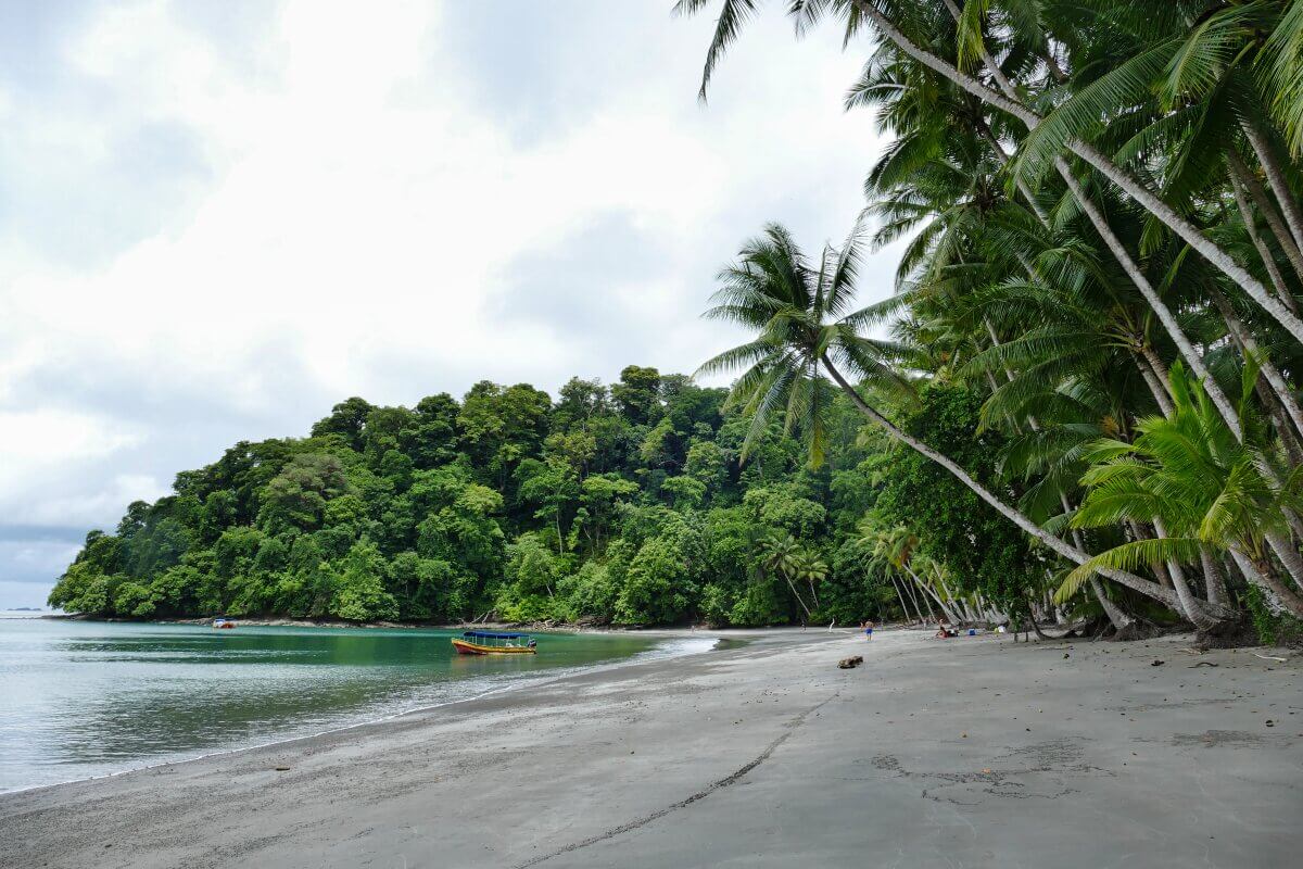Strand mit Palme und buntem Boot im Wasser