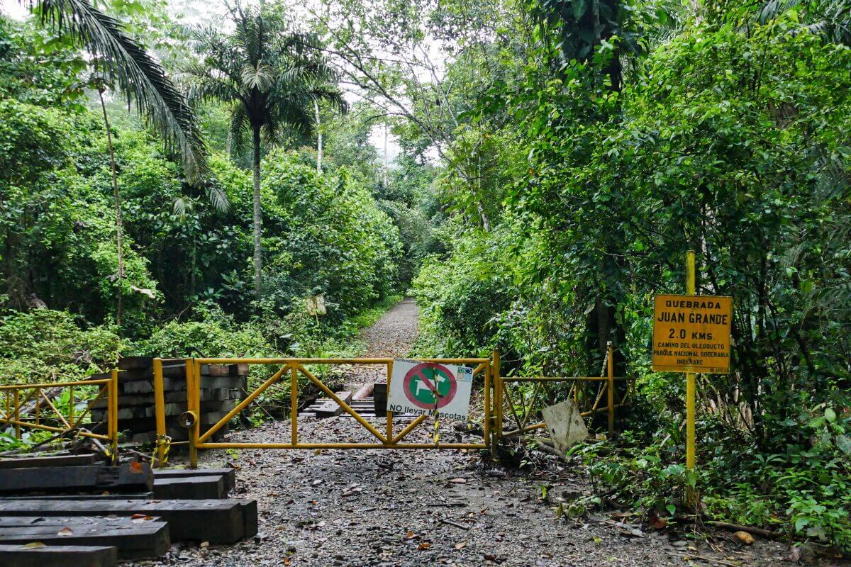 Ein gelbes Tor versperrt einen Waldweg mit Warnschildern und üppigen grünen Bäumen auf beiden Seiten.