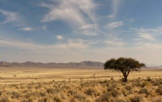 Ein einsamer Baum steht in Afrika in einer weiten, trockenen Savanne unter einem blauen Himmel mit vereinzelten Wolken und fernen Bergen.