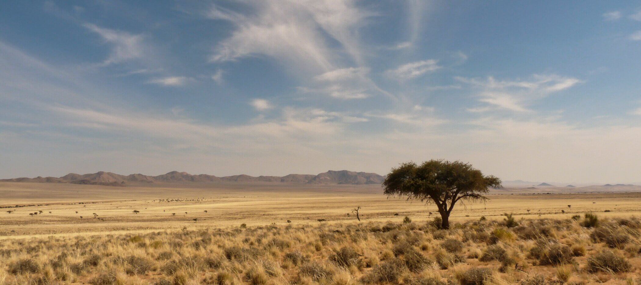 Ein einsamer Baum steht in Afrika in einer weiten, trockenen Savanne unter einem blauen Himmel mit vereinzelten Wolken und fernen Bergen.