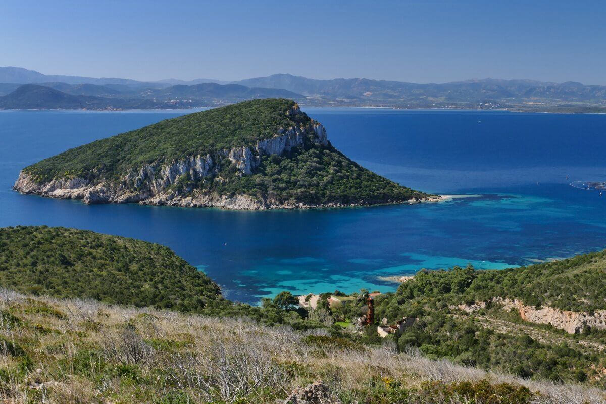 Eine üppig grüne Insel, umgeben von türkisblauem Meer unter einem klaren Himmel, von einem Hügel aus betrachtet.