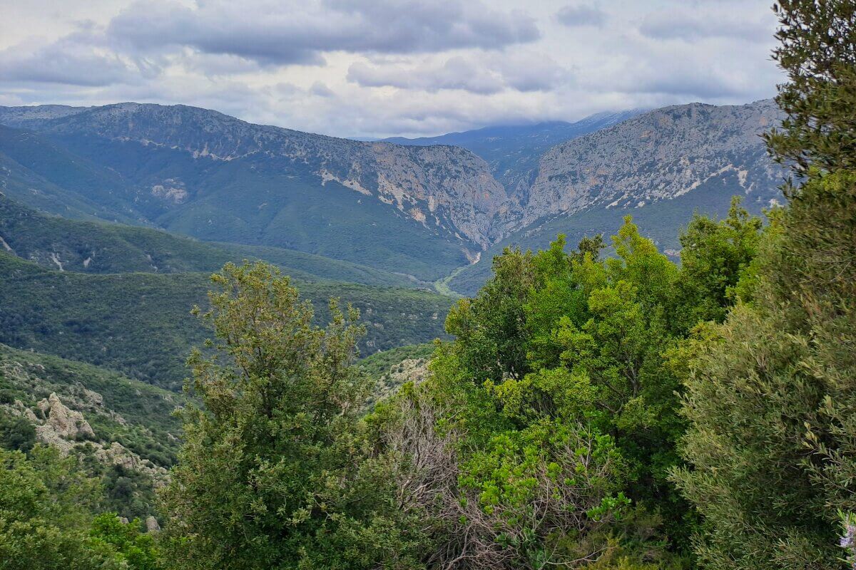 Grüne Berge und üppige Bäume unter einem wolkenverhangenen Himmel, mit einem Tal, das sich durch die Landschaft zieht.