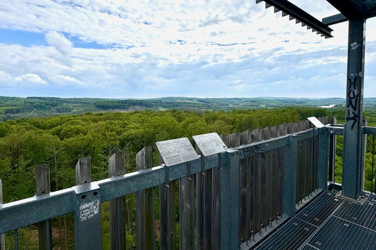 Blick von einem metallenen Aussichtsturm auf einen weitläufigen grünen Wald unter einem teilweise bewölkten Himmel.