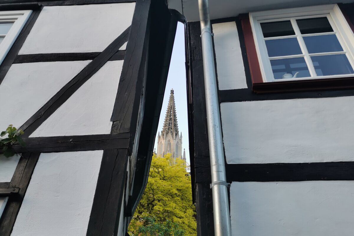 Zwischen zwei Fachwerkhäusern ist ein hoher Kirchturm zu sehen, im Hintergrund steht ein Baum.